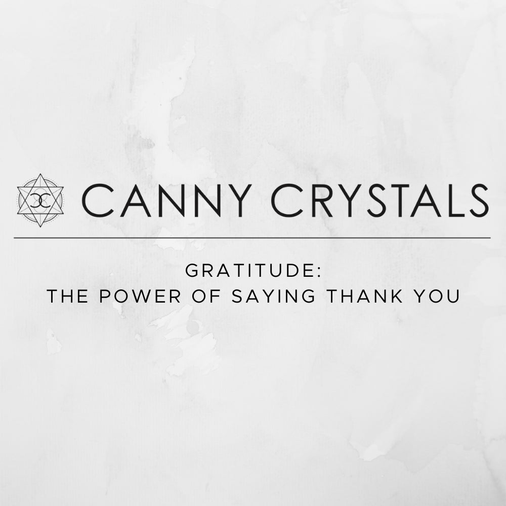 Gratitude: The Power Of Saying Thank You