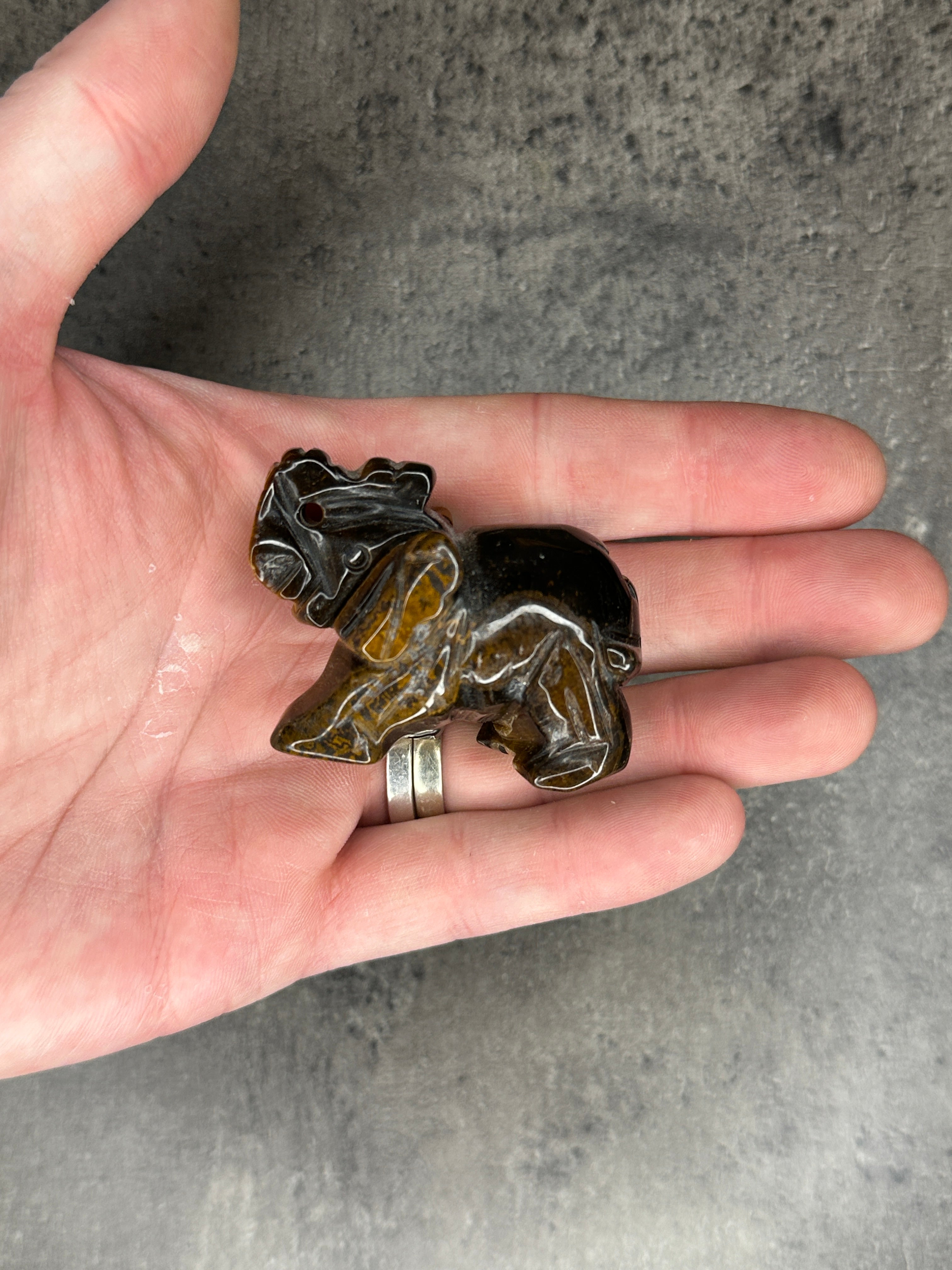 Tigers eye - Elephant