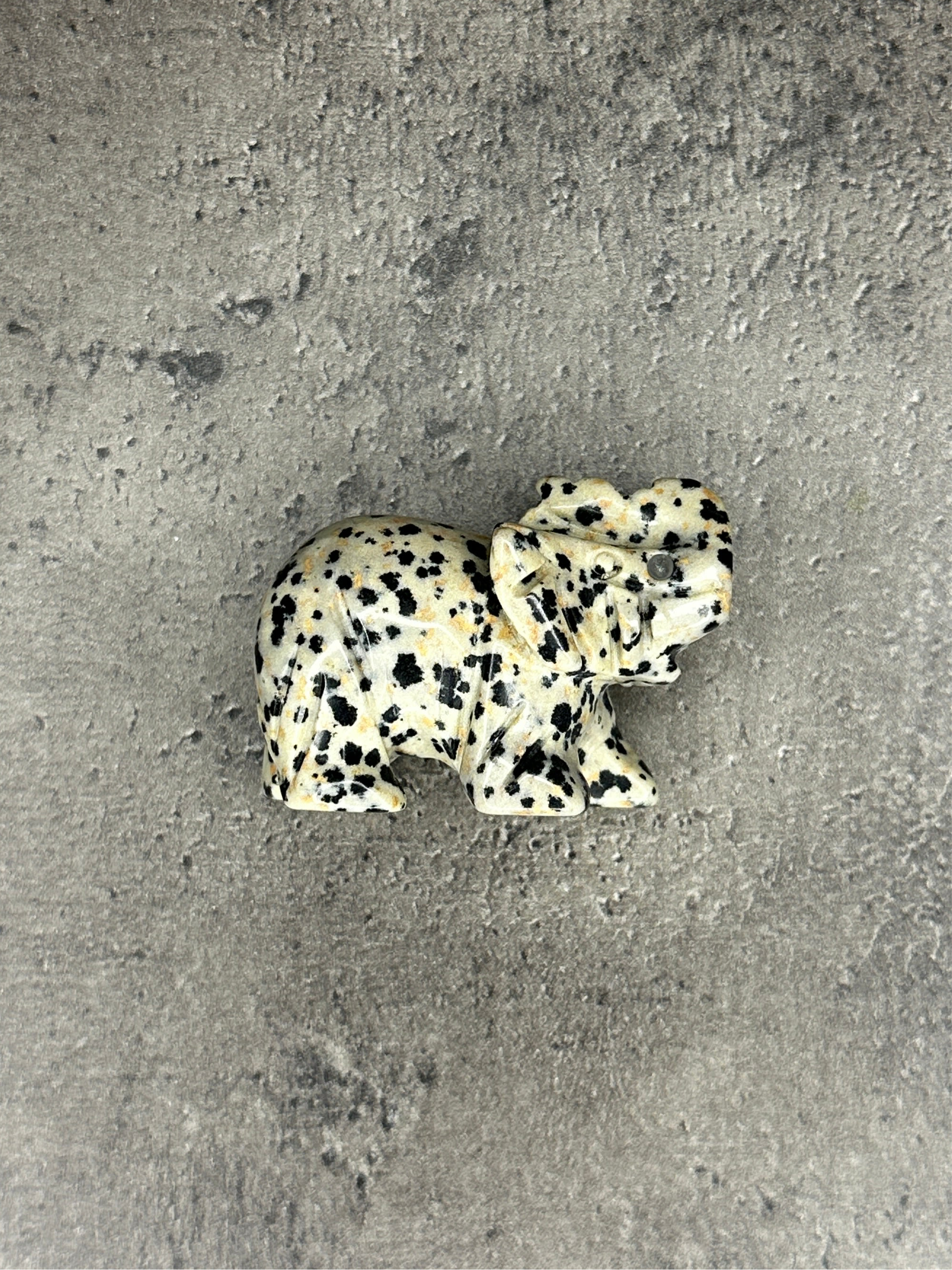 Dalmatian jasper - Elephant