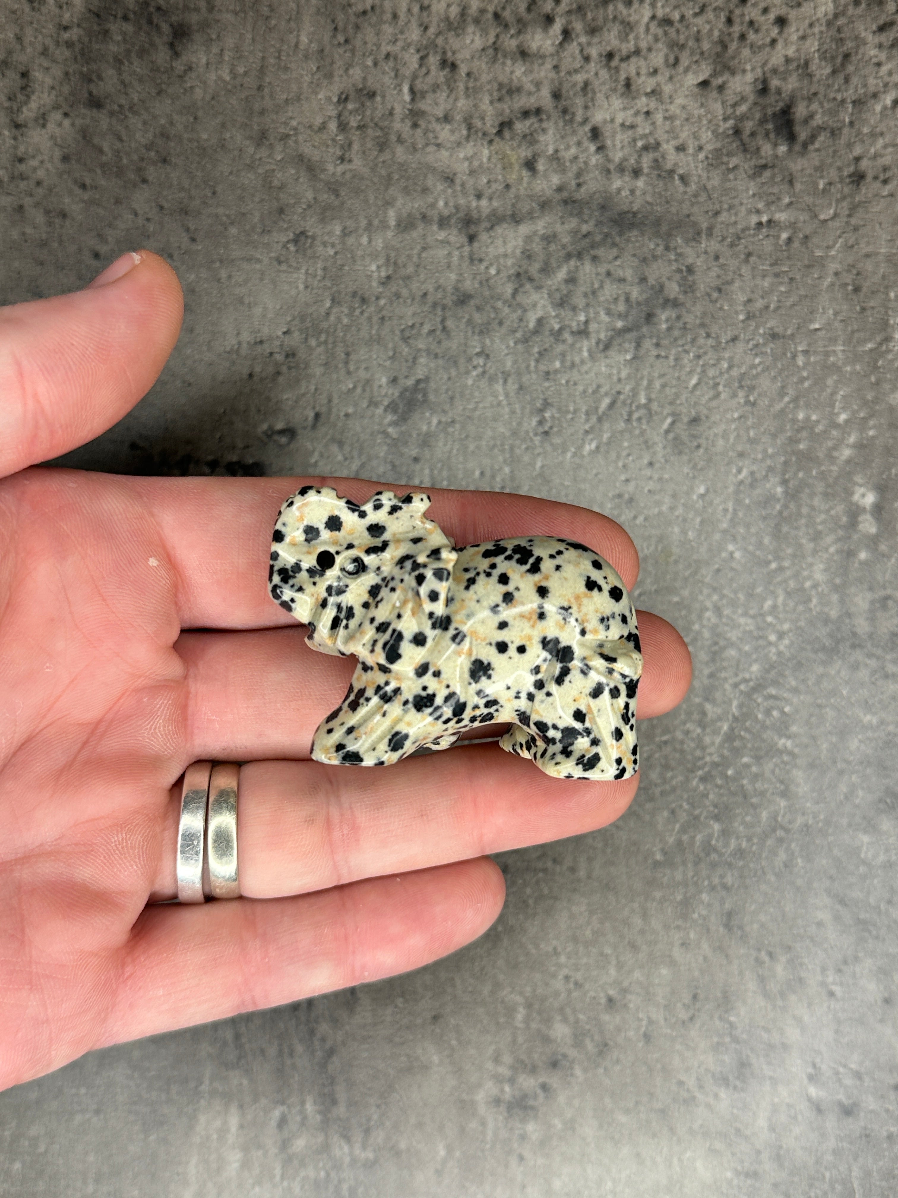 Dalmatian jasper - Elephant