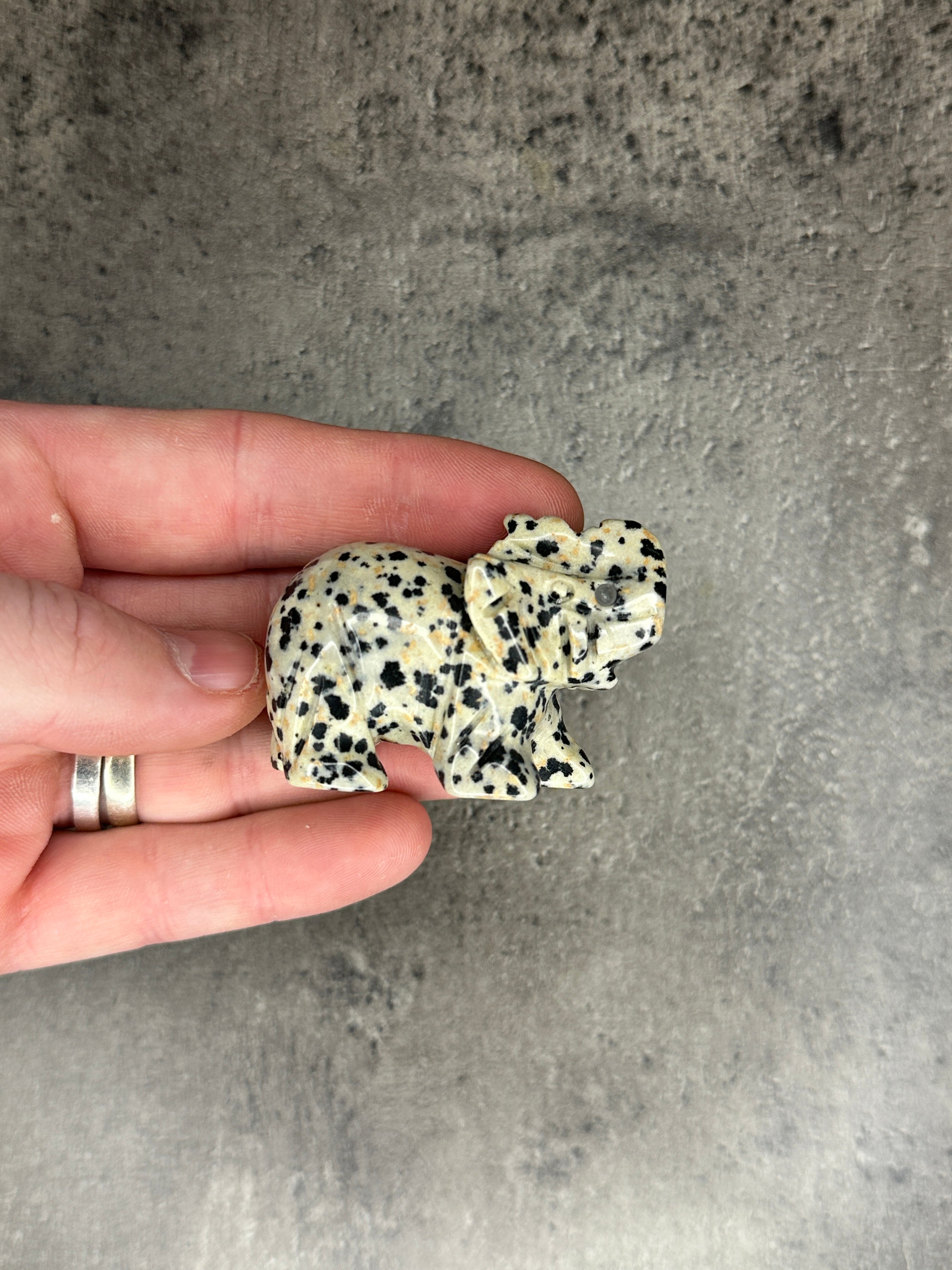 Dalmatian jasper - Elephant