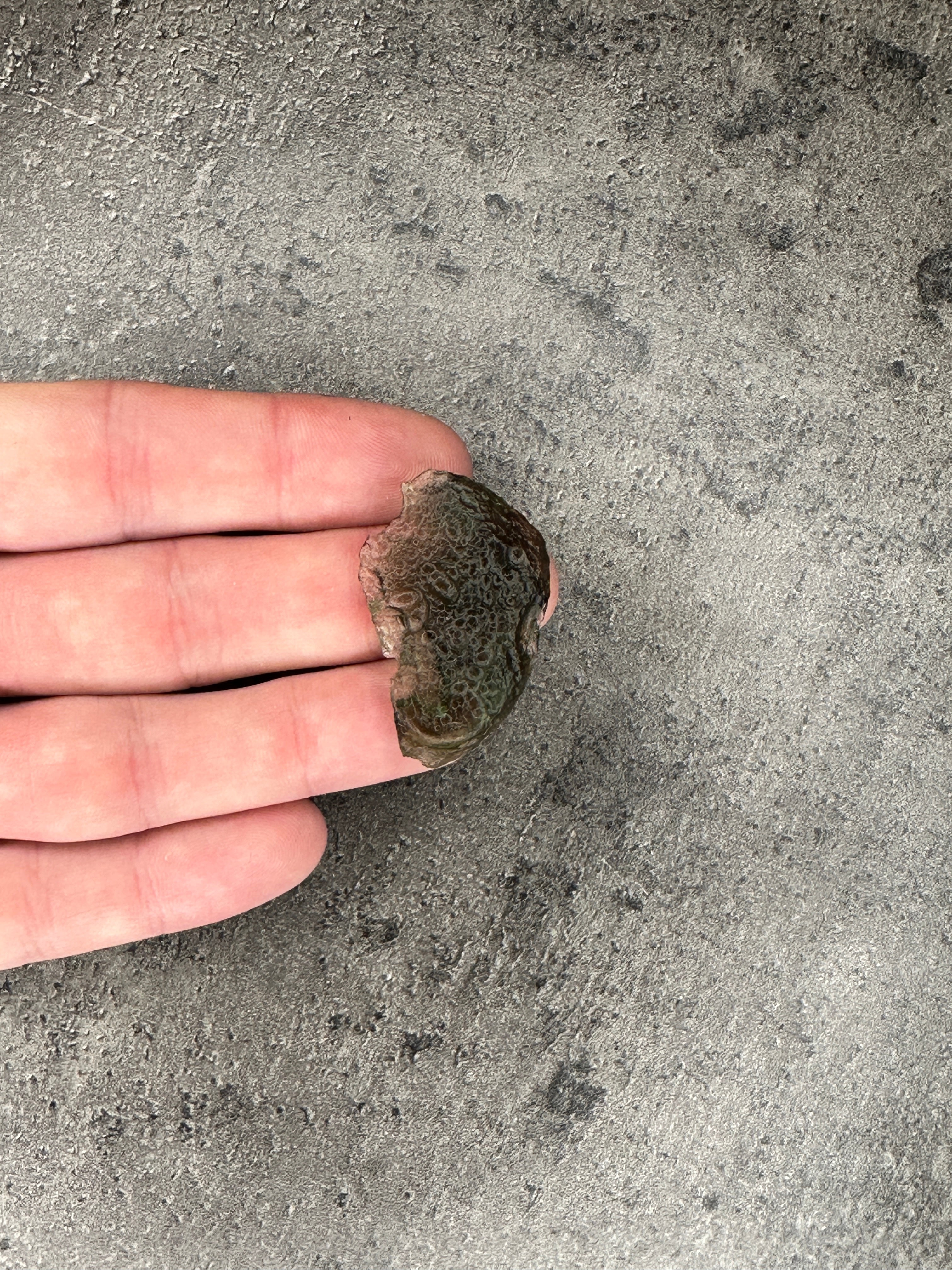 Moldavite - Rough-Raw Pieces